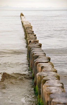 Tanja Wuertele, Design, Fotografie, Schottland, Holzbohlen