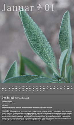 Tanja Wuertele-Design-Heilkräuter-Kalender-2015-Januar