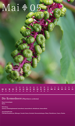 Tanja Würtele-Design-Heilkräuter-Kalender-2015-März