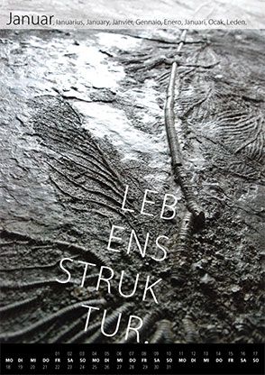 Tanja Würtele, Design, Freie Arbeiten, Kalender Strukturen 2016, Januar
