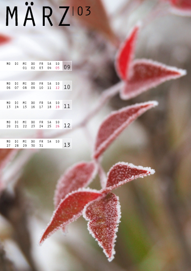 Tanja Wuertele, Design, Freie Arbeiten, Kalender Eiszeit 2017, Maerz