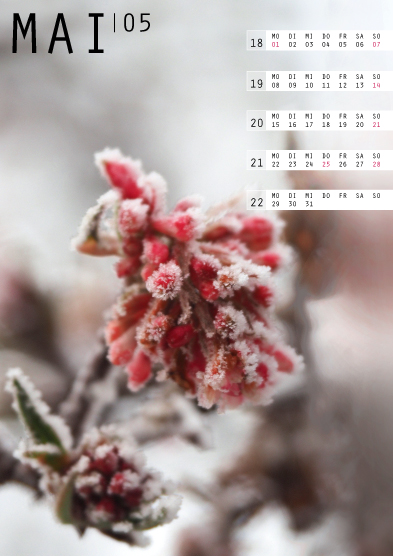Tanja Wuertele, Desgin, Freie Arbeiten, Kalender Eiszeit 2017, Mai