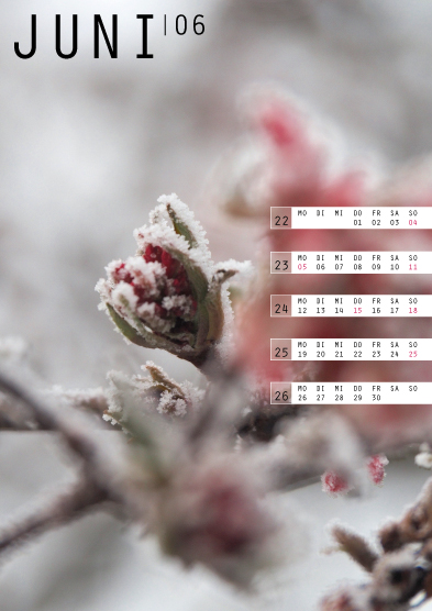 Tanja Wuertele, Design, Freie Arbeiten, Kalender Eiszeit 2017, Juni