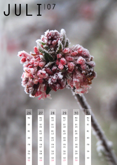 Tanja Wuertele, Design, Freie Arbeiten, Kalender Eiszeit 2017, Juli