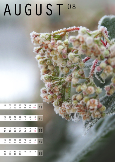 Tanja Wuertele, Design, Freie Arbeiten, Kalender Eiszeit 2017, August